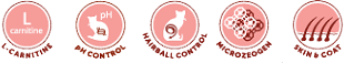 icons indoor
